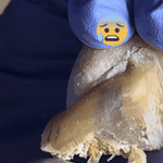 🌱JoyPretty™ el cuidado intensivo de uñas- Q160+ envio gratis  (manos y pies)